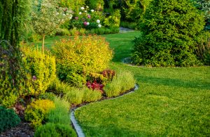 Maintaining Your Lawn